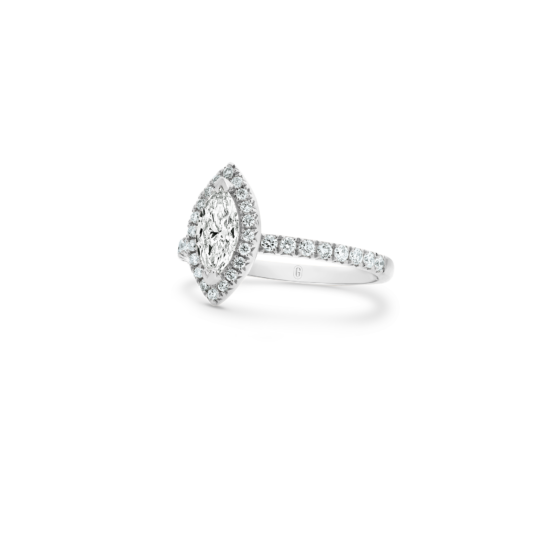 Alternative view of ISABELLA