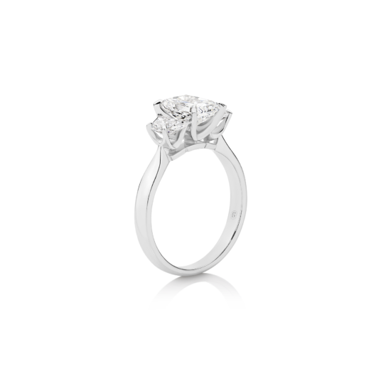 Alternative view of ELIANA