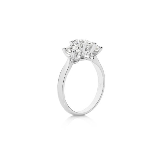 Alternative view of AIMEE